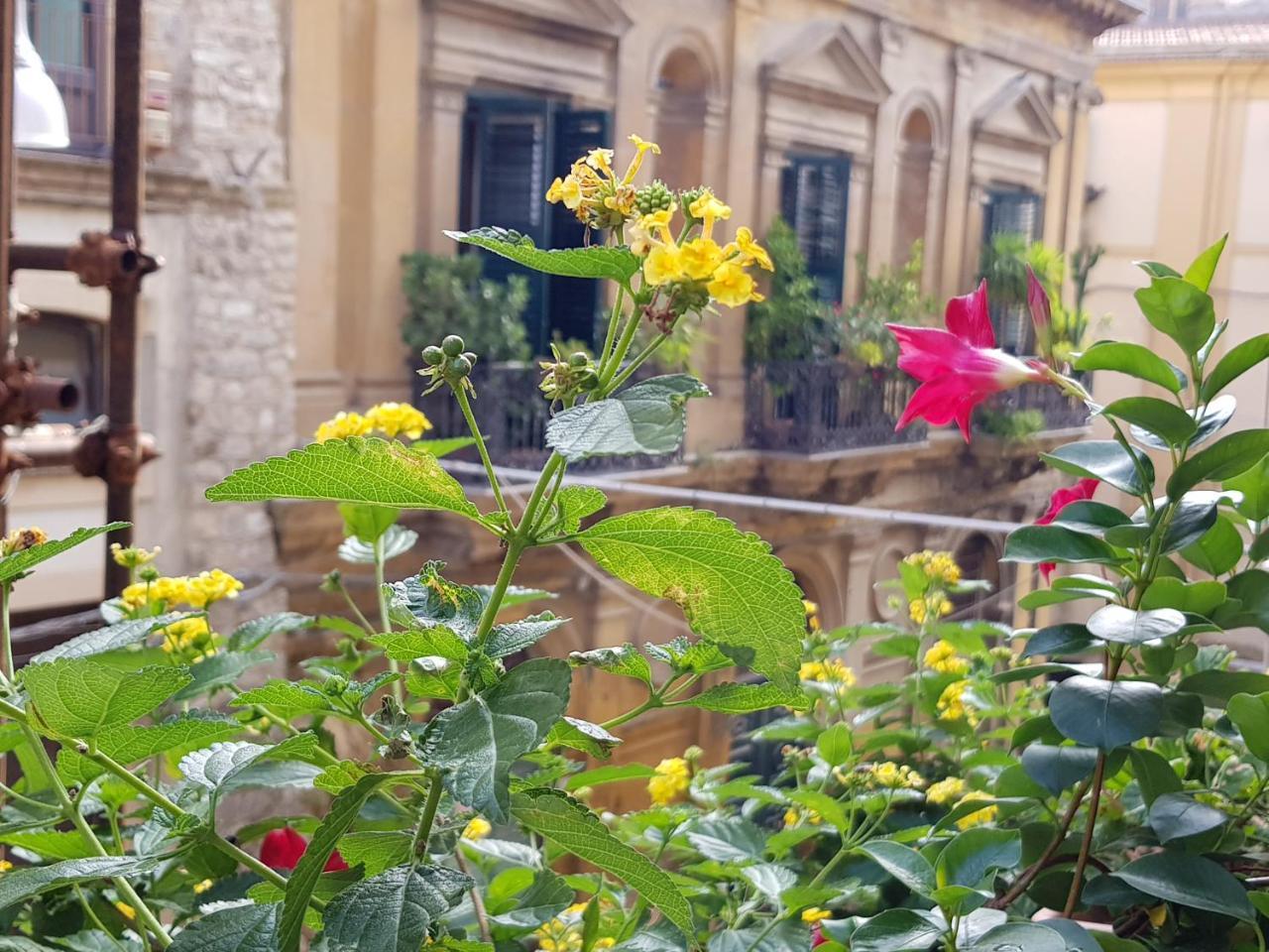 مبيت وإفطار كالتانيسيتا Casa Coccinella المظهر الخارجي الصورة